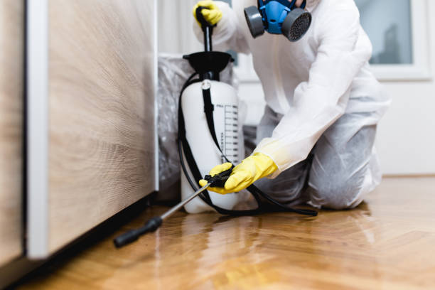 Wildlife Control Services in Florissant, MO