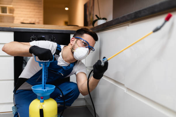 Best Local Pest Control Services  in Florissant, MO
