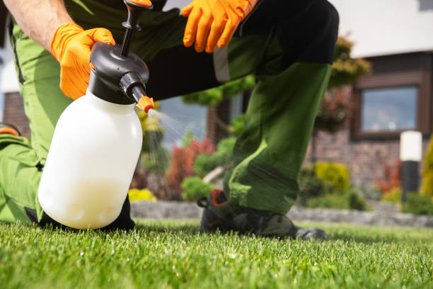 Best Pest Control Near Me  in Florissant, MO
