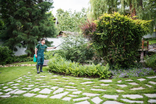 Best Affordable Pest Control Services  in Florissant, MO