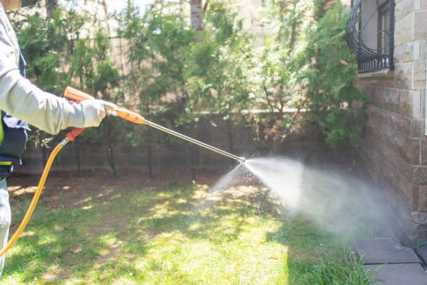 Best Affordable Pest Control Services  in Florissant, MO