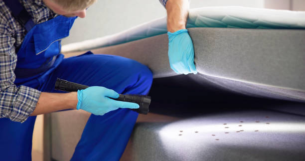 Best Bed Bug Extermination  in Florissant, MO