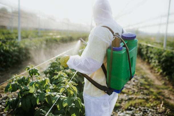  Florissant, MO Pest Control Pros